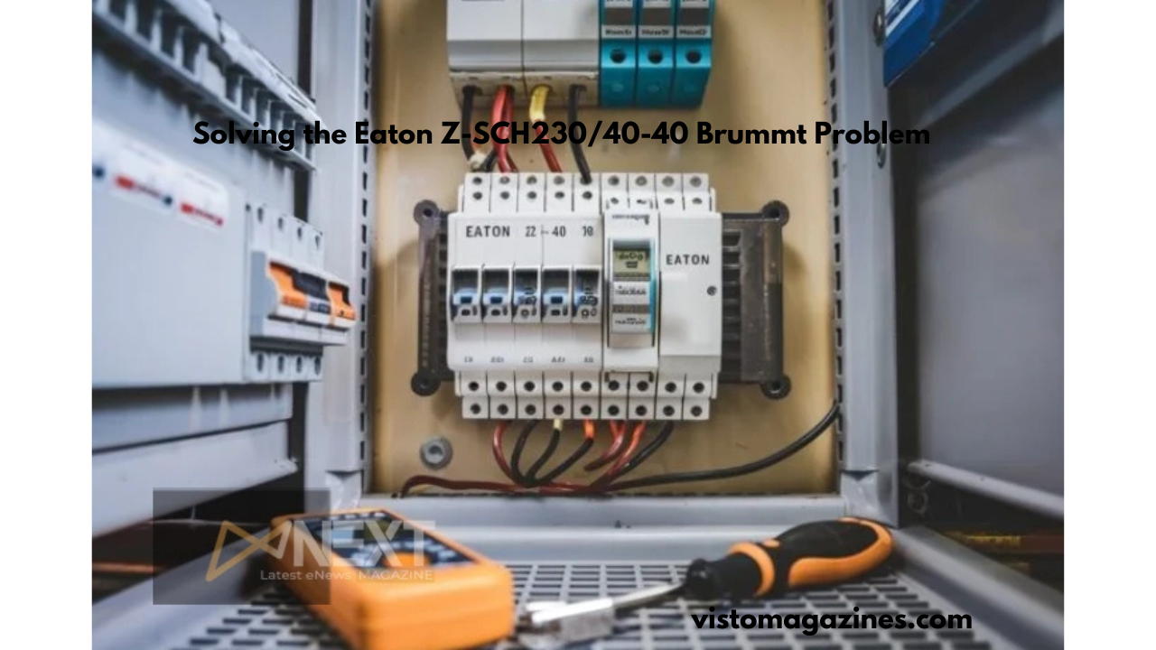 Solving the Eaton Z-SCH230/40-40 Brummt Problem