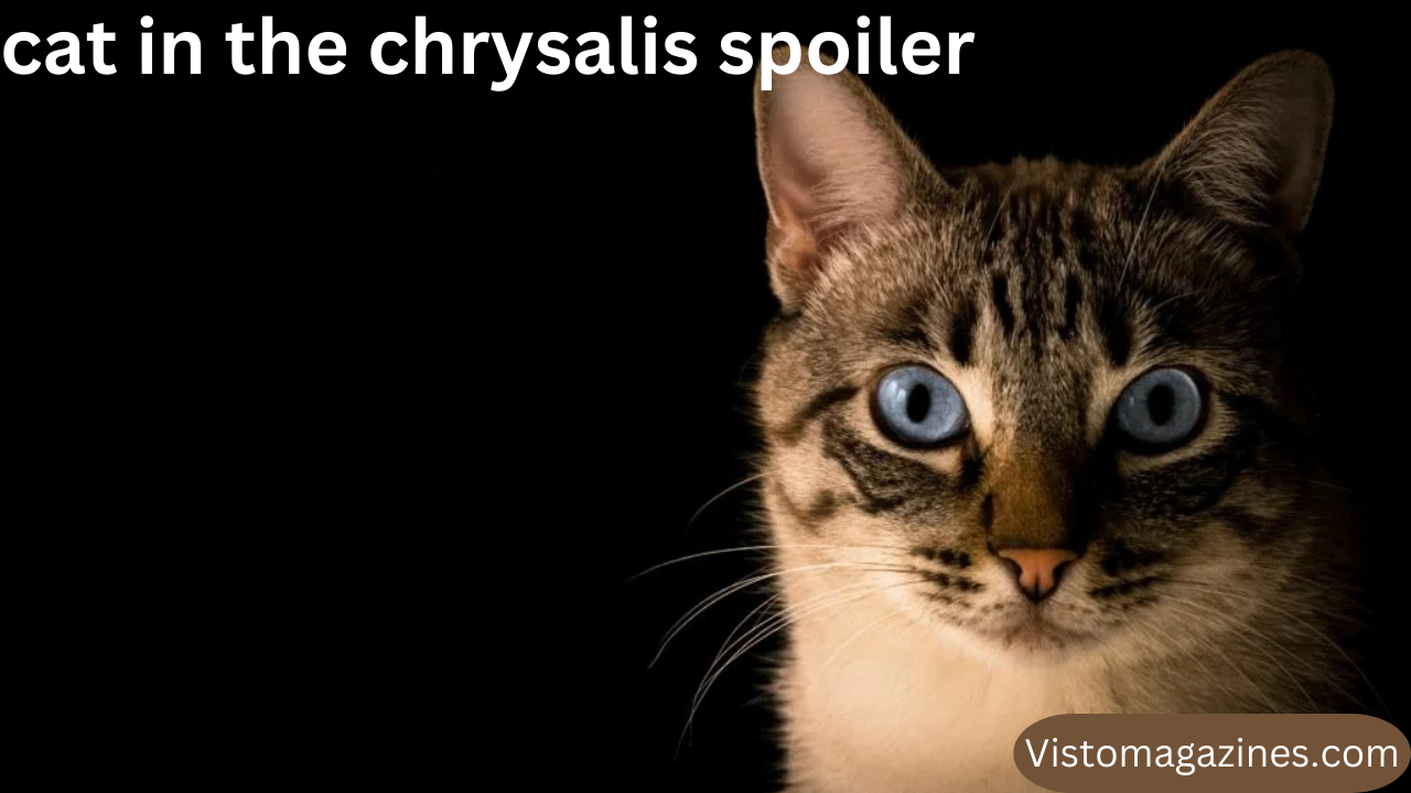 cat in the chrysalis spoiler