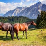 Off the Beaten Track