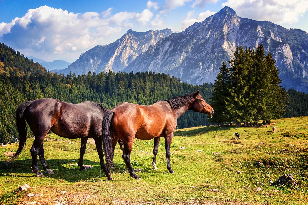 Off the Beaten Track